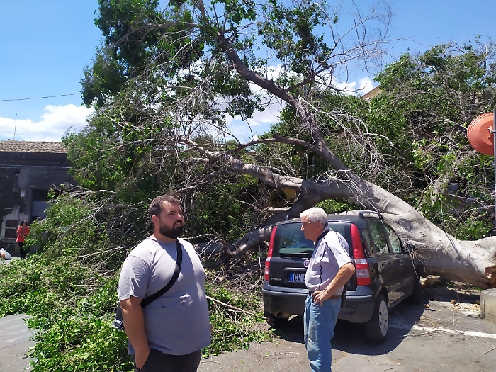 30 MAGGIO 2025 albero crolla in via Sebastiano Catania (7)