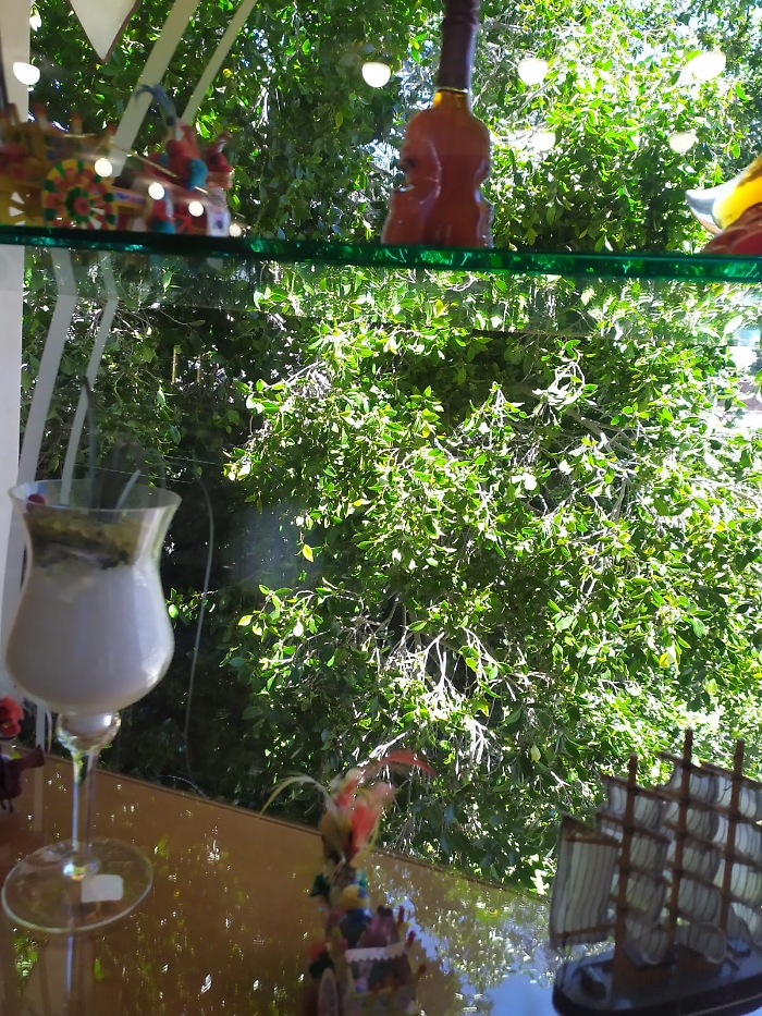 30 maggio 2025 albero crolla via sebastiano Catania