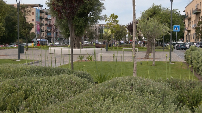 Foto 2025-05-08 122632_1.43.1