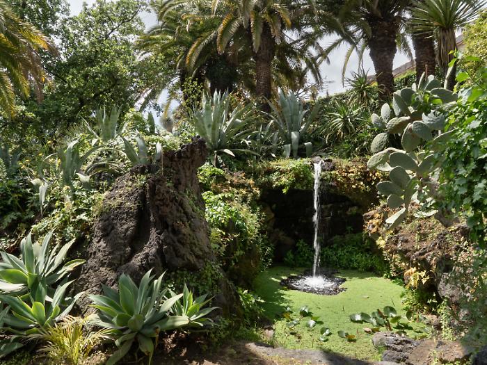 Massimo Siragusa5_ppdt