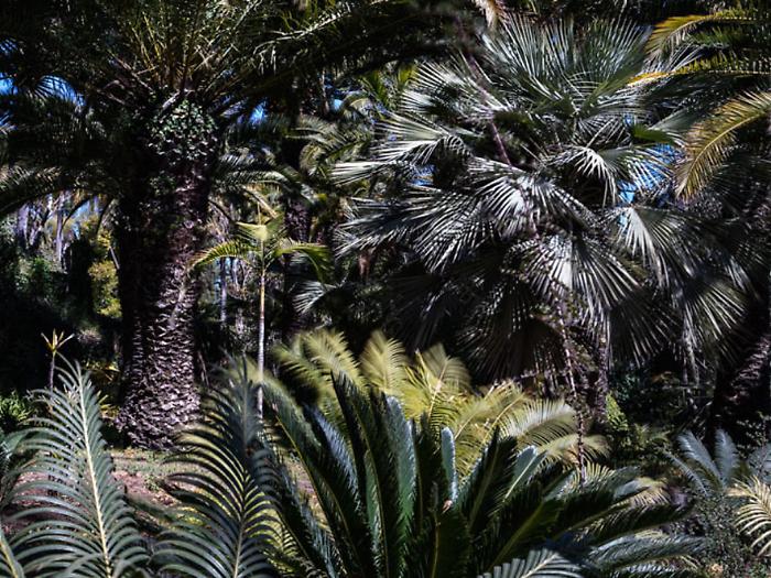 Massimo Siragusa7_ppdt (2)1