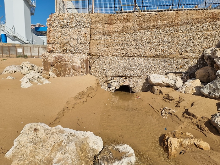 WhatsApp Image 2025-05-05 at 20.49.52