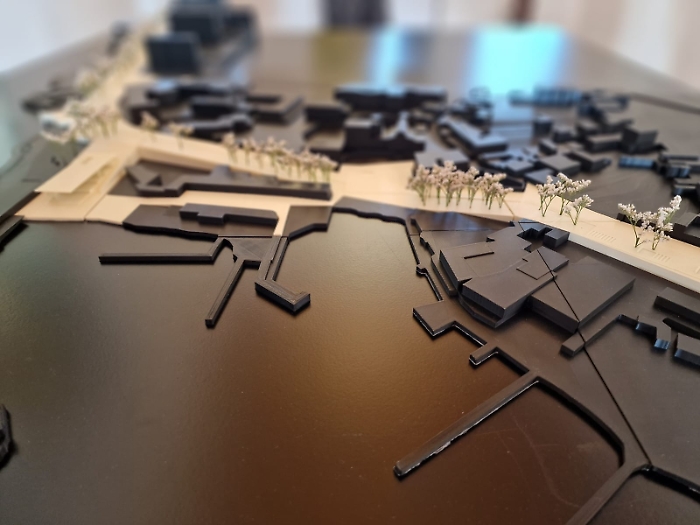 WhatsApp Image 2025-05-20 at 15.59.48