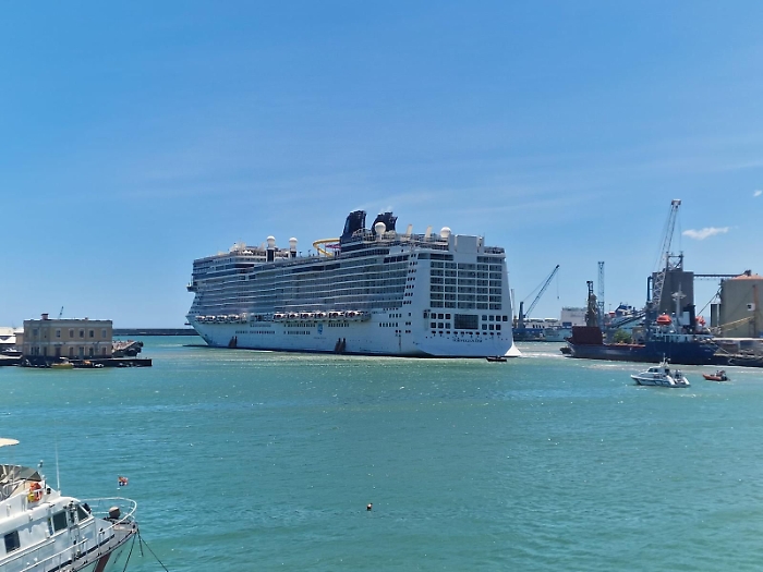 WhatsApp Image 2025-05-30 at 17.25.34