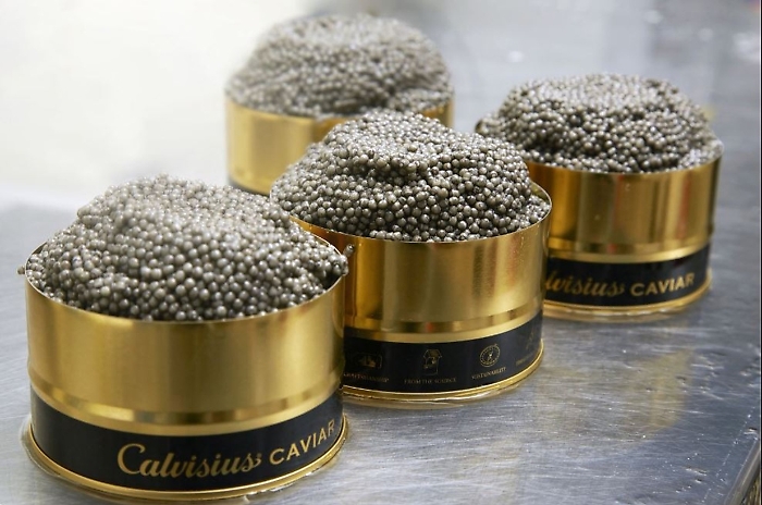 WhatsApp Image 2025-05-30 at 20.08.35