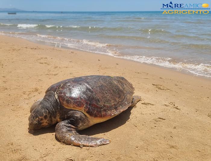 502766335_2488047884862370_1589755954239484055_n