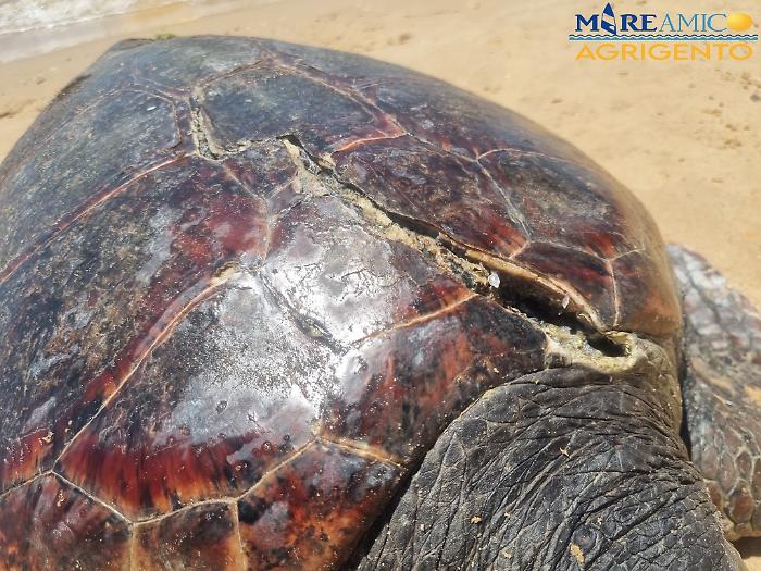 503273578_2488047914862367_569085026300508666_n