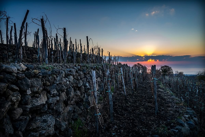 Etna muretti terrazzati (5)
