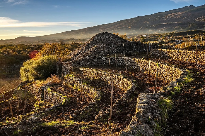 Etna muretti terrazzati (7)