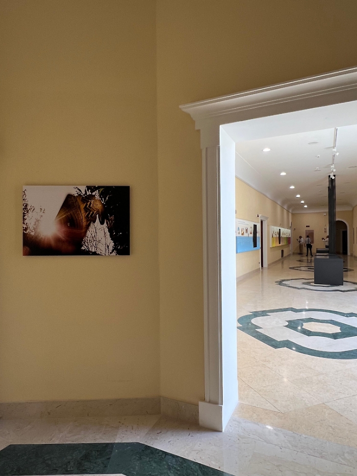 WhatsApp Image 2025-06-26 at 11.56.53 (2)