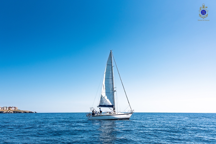 2025-07-12-092840-_DSC1676