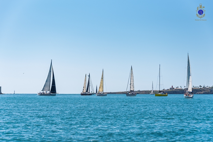 2025-07-12-100000-_DSC1758