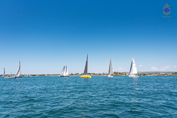 2025-07-12-102552-_DSC1866