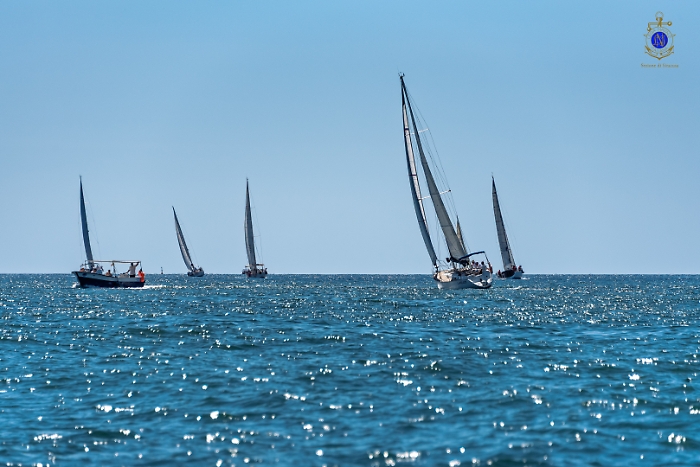 2025-07-12-105002-_DSC2049