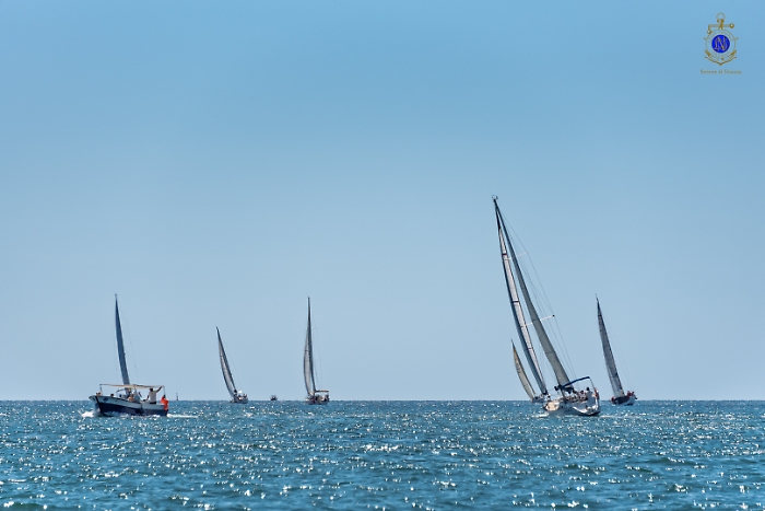 2025-07-12-105008-_DSC2051