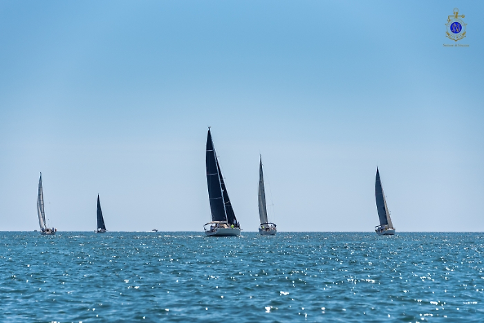 2025-07-12-105017-_DSC2053