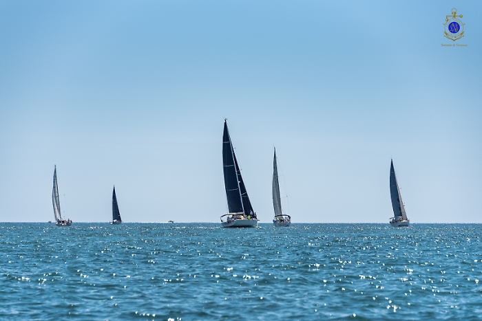 2025-07-12-105018-_DSC2054