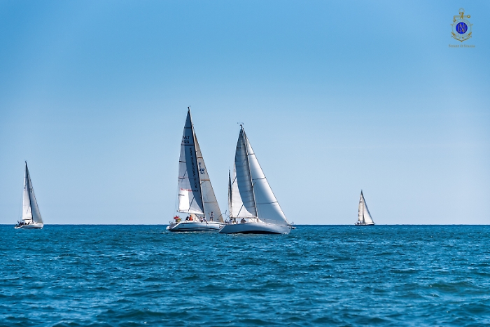 2025-07-12-105031-_DSC2058