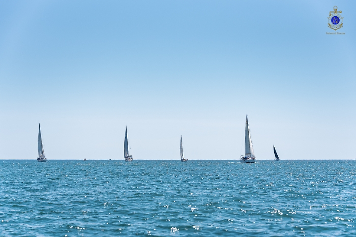 2025-07-12-105118-_DSC2065