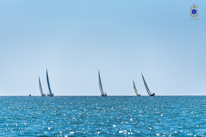 2025-07-12-105137-_DSC2067