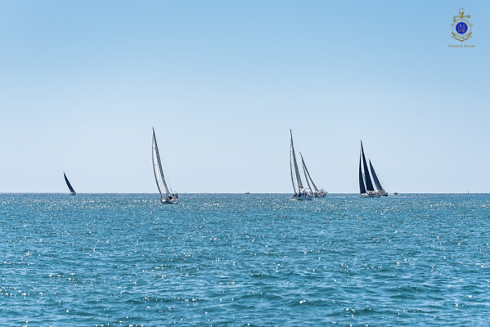 2025-07-12-105244-_DSC2072