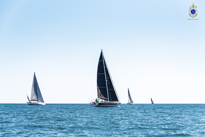 2025-07-12-105424-_DSC2079