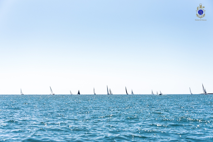 2025-07-12-105445-_DSC2081