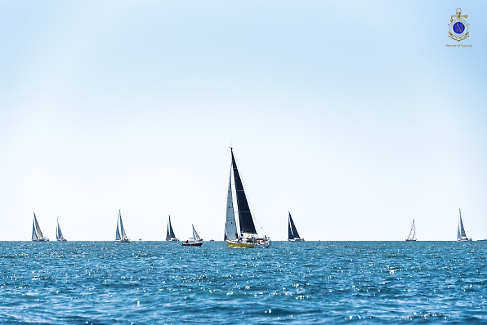 2025-07-12-105643-_DSC2083