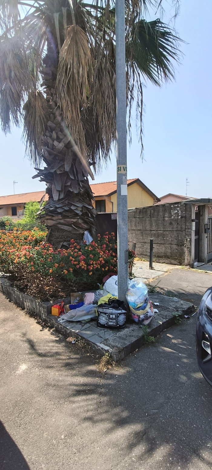 WhatsApp Image 2025-07-07 at 15.41.24