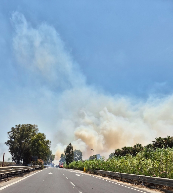 WhatsApp Image 2025-07-08 at 14.09.55