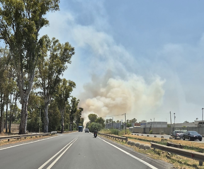 WhatsApp Image 2025-07-08 at 14.09.56 (1)