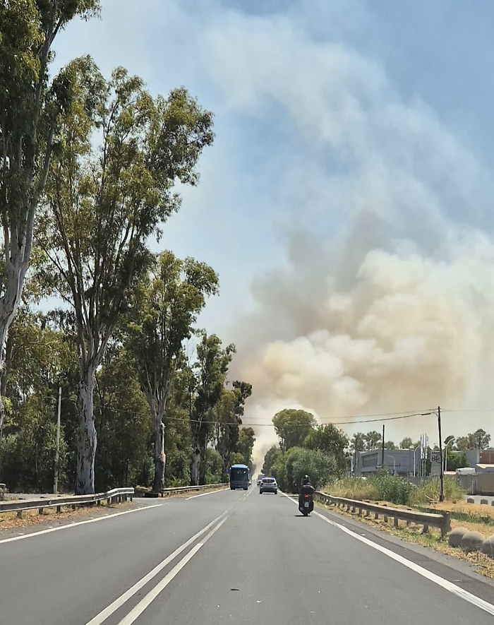 WhatsApp Image 2025-07-08 at 14.09.56 (2)