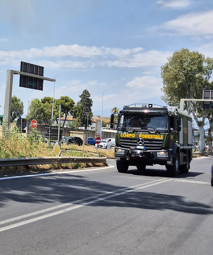 WhatsApp Image 2025-07-08 at 14.09.56