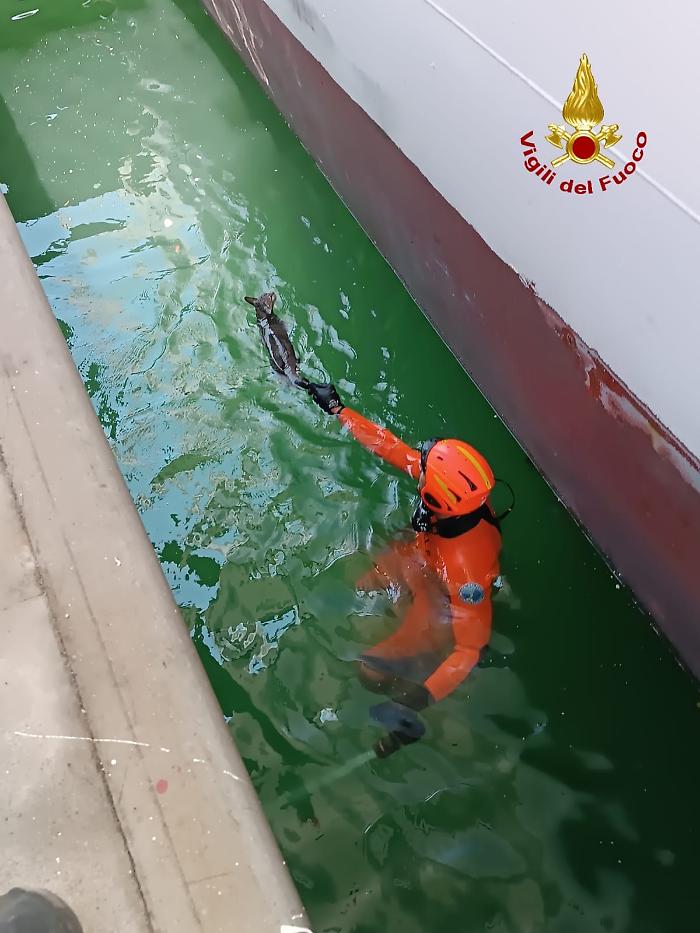 WhatsApp Image 2025-07-09 at 16.19.55