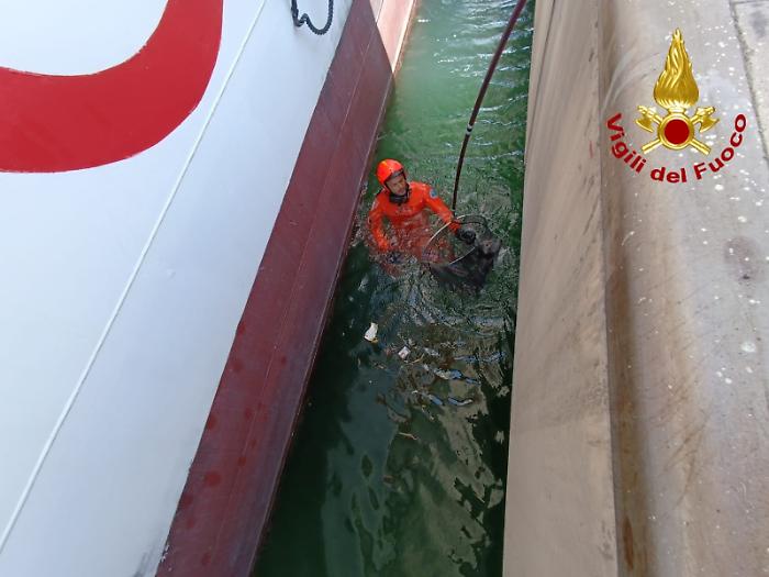 WhatsApp Image 2025-07-09 at 16.19.58 (2)