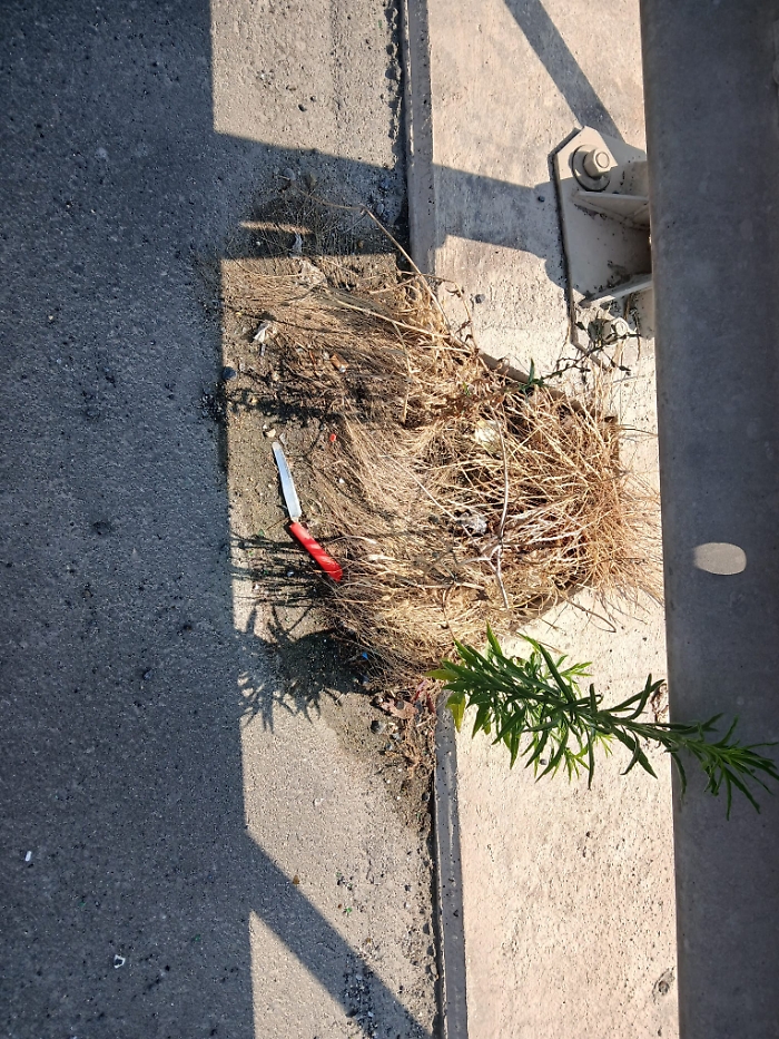 WhatsApp Image 2025-07-15 at 12.53.58 (2)