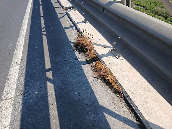 WhatsApp Image 2025-07-15 at 12.53.59