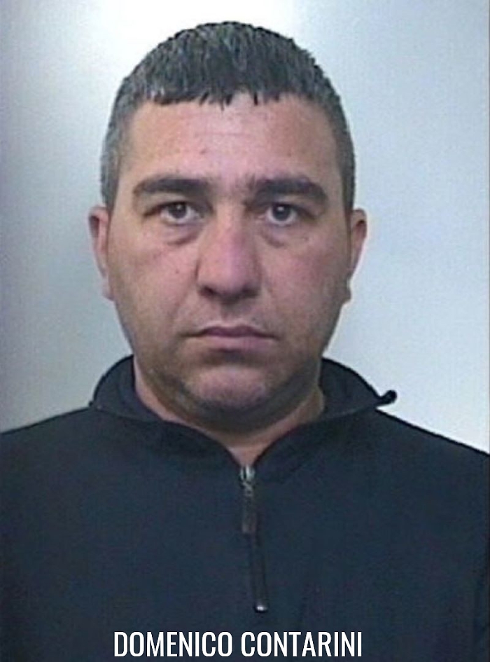 contarini domenico1