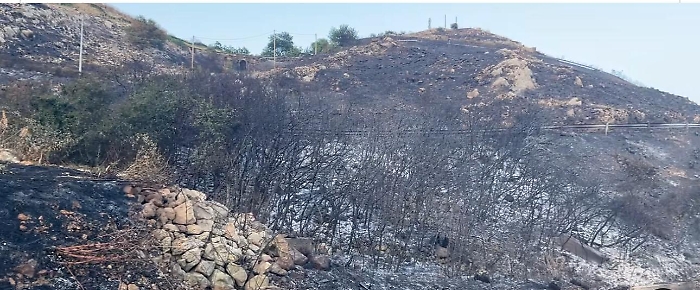 incendi Caltabellotta 25 luglio 2025 (2)