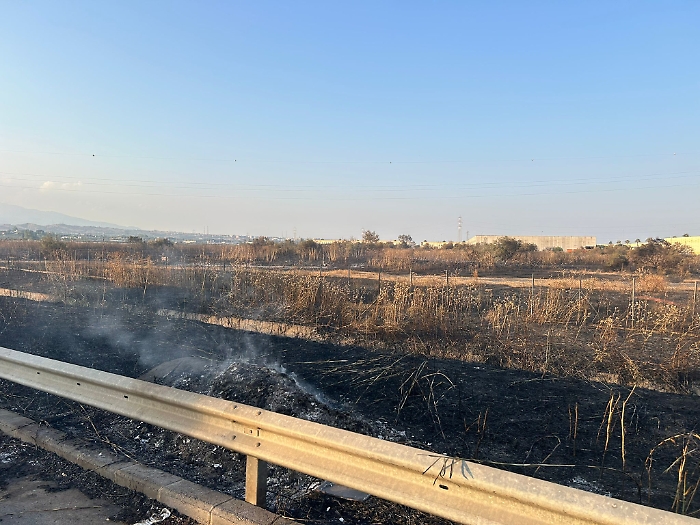 incendio Maas 8 luglio (5)