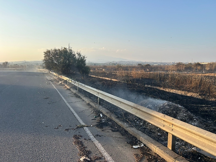 incendio Maas 8 luglio (6)