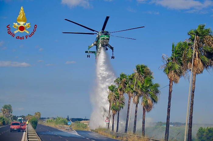 photo_2025-07-29_20-42-50 (2)
