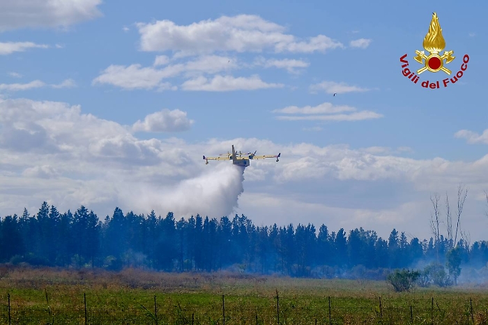photo_2025-07-29_20-42-51