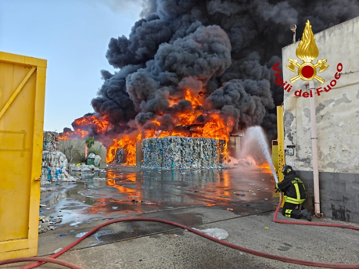 WhatsApp Image 2025-08-09 at 10.17.27