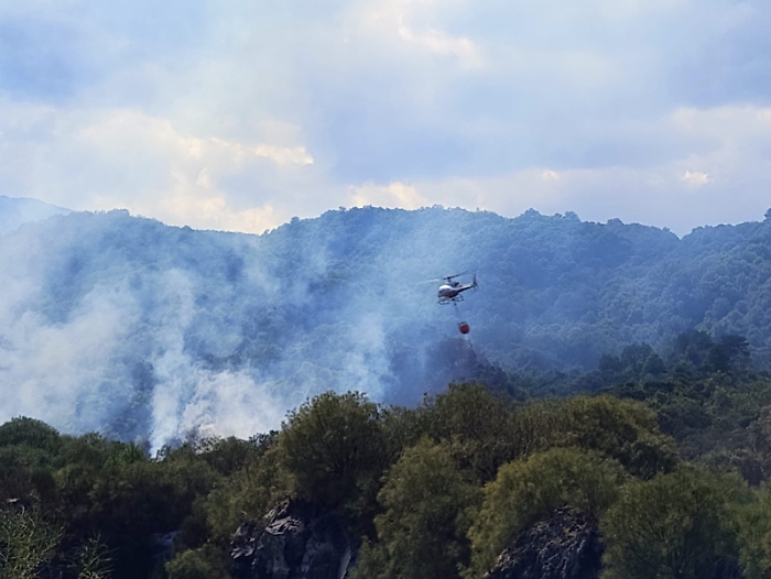 WhatsApp Image 2025-08-12 at 16.34.14