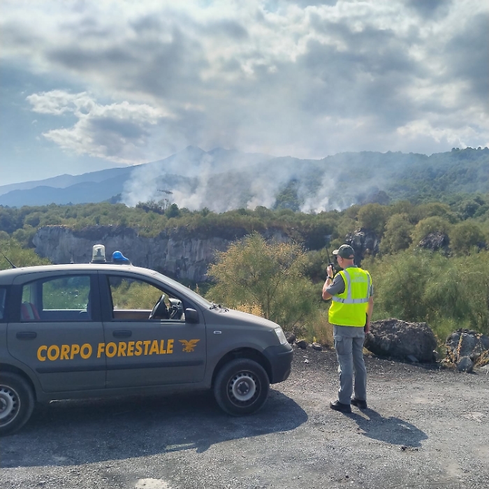 WhatsApp Image 2025-08-12 at 16.34.15 (2)