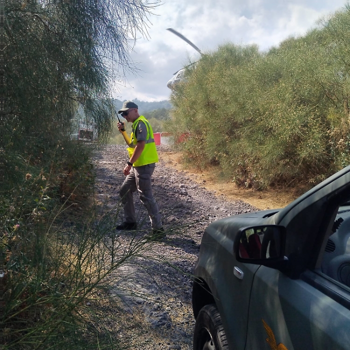 WhatsApp Image 2025-08-12 at 16.34.16 (1)