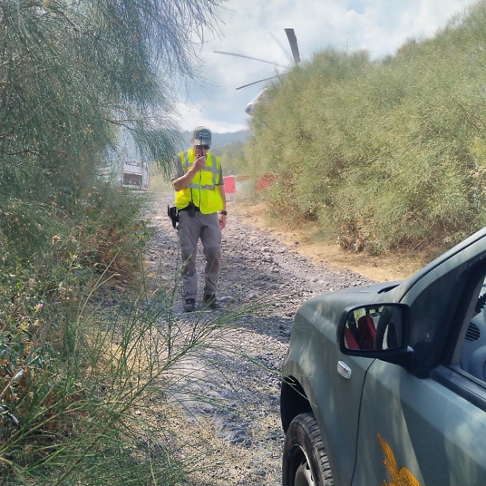 WhatsApp Image 2025-08-12 at 16.34.16