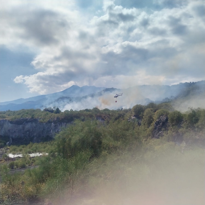 WhatsApp Image 2025-08-12 at 16.34.17 (2)