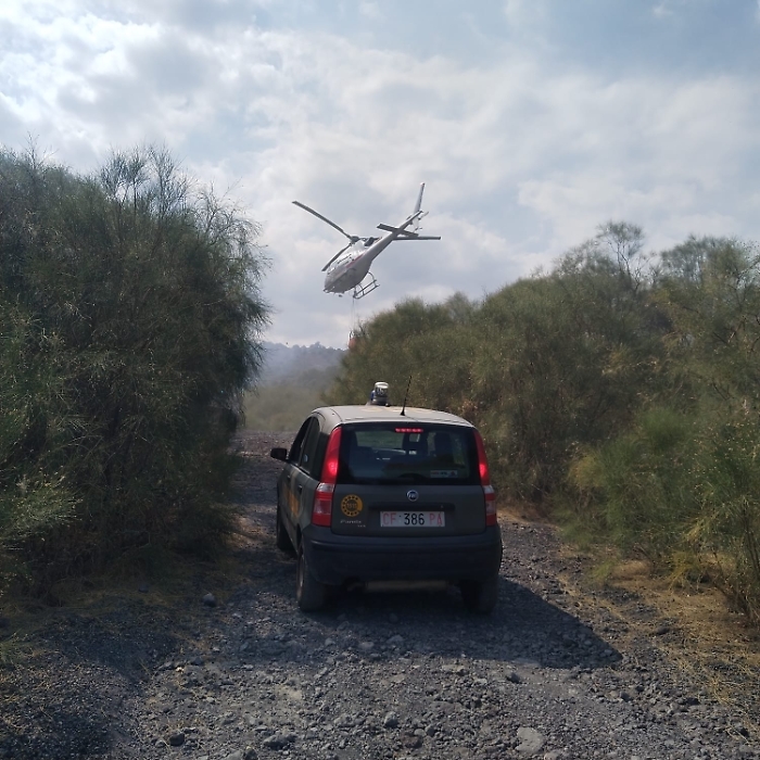 WhatsApp Image 2025-08-12 at 16.34.17